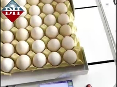 Máy in tia trứng nhỏ Xy Axis Máy in tia trứng thông minh hoàn toàn tự động